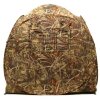 Buteo Photo Gear camouflage tent Aquila Mark II reed