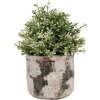 Clayre & Eef 6TE0516L Flower Pot Terracotta Beige Green Ø 17x15 cm Country Style