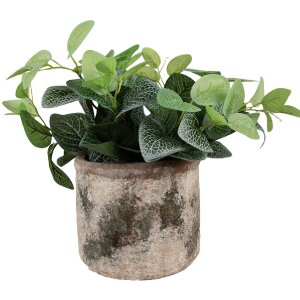 Clayre & Eef 6TE0516M Flower Pot Beige Green Ø...