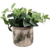 Clayre & Eef 6TE0516M Flower Pot Beige Green Ø 14x12 cm