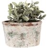 Clayre & Eef 6TE0534L Flower pot 21x13x12 cm