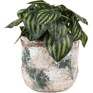 Clayre & Eef 6TE0530M Flowerpot Beige Ø 14x12 cm