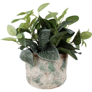 Clayre & Eef 6TE0530L Flowerpot Ø 18x15 cm Vintage Green