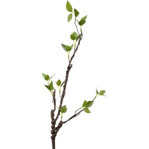 Clayre & Eef 5PL0100 Decoration Branch 9x6x78 cm