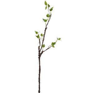 Clayre & Eef 5PL0100 Decoration Branch 9x6x78 cm