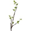 Clayre & Eef 5PL0100 Decoration Branch 9x6x78 cm