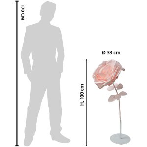 Clayre & Eef 50780 Decoration Rose Ø 33x100 cm