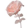 Clayre & Eef 50780 Decoration Rose Ø 33x100 cm