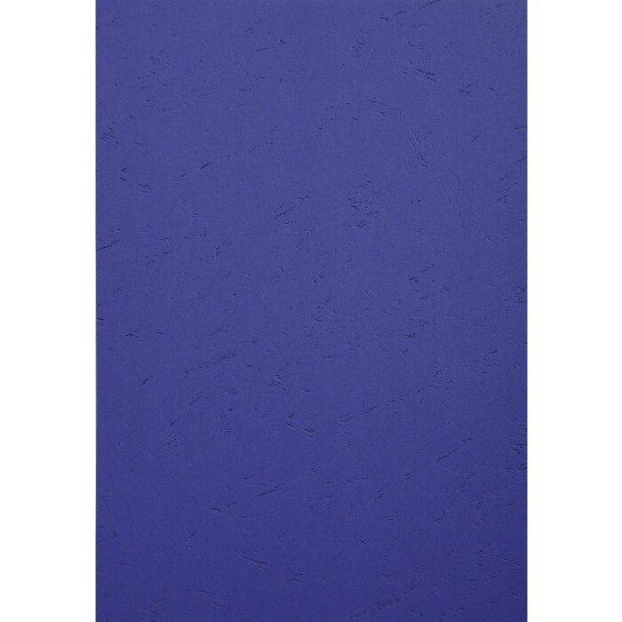 Exacompta 2790C Leather embossed cover A4 270g dark blue 100 pieces