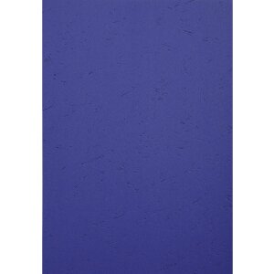 Exacompta 2790C Leather embossed cover A4 270g dark blue...