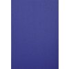 Exacompta 2790C Leather embossed cover A4 270g dark blue 100 pieces