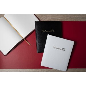 Exacompta 4711E Guestbook Alpillez black 70 sheets 26x22 cm portrait format leather