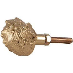 Clayre Eef Doorknob Shell Gold-coloured 4x3x3 cm Retro...