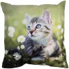 Clayre & Eef KT021.370 Cushion Cover Green Grey 45x45 cm Polyester