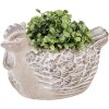 Clayre & Eef 6TE0542M Flowerpot Chicken Stoneware Beige 21x14x13 cm Vintage