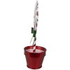 Clayre & Eef 6Y5626 Decoration Lollipop Red White Metal 12x9x26 cm