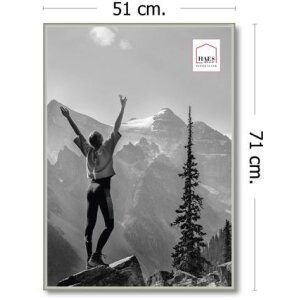 Haes Deco plastic photo frame EF8S Easy Frame Silver 50x70 cm