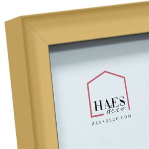 Haes Deco Easy Frame Gold plastic photo frame 15x20 cm