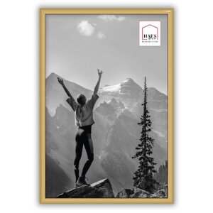 Haes Deco EF4G Easy Frame Plastic Photo Frame Gold 20x30 cm