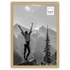 Haes Deco EF11G Easy Frame Gold A4 21x29.7 cm plastic frame