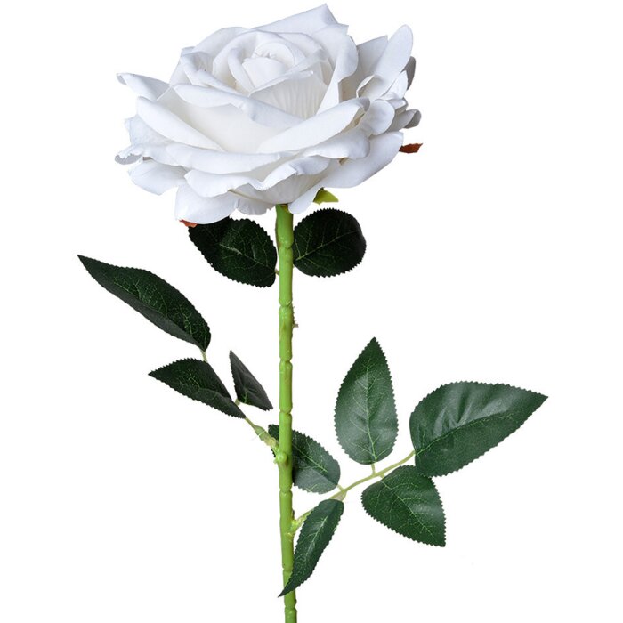 Clayre & Eef 5PL0106W Artificial Flower Rose White Green Ø12x76 cm