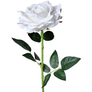 Clayre & Eef 5PL0106W Artificial Flower Rose White...