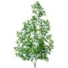 Clayre & Eef 5PL0089 Decoration twig 12x12x80 cm