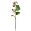 Clayre & Eef 5PL0116W Decoration Branch with Flowers White 18x10x80 cm