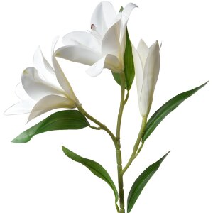 Clayre & Eef 5PL0119W Decorative Branch Flowers White...