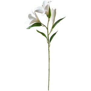 Clayre & Eef 5PL0119W Decorative Branch Flowers White...