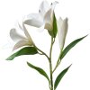 Clayre & Eef 5PL0119W Decorative Branch Flowers White 17x12x71 cm Plastic