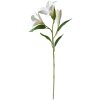 Clayre & Eef 5PL0119W Decorative Branch Flowers White 17x12x71 cm Plastic