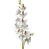 Clayre & Eef 5PL0126 Decorative Branch with Flowers White 16x10x115 cm Floristic