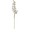 Clayre & Eef 5PL0126 Decorative Branch with Flowers White 16x10x115 cm Floristic