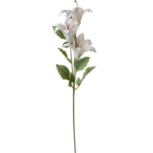 Clayre & Eef 6PL0337W Decorative Branch Flowers White...