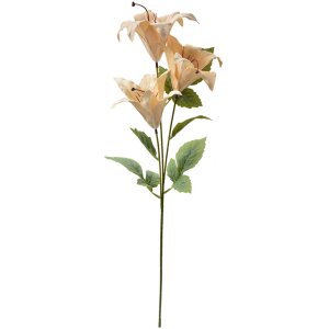 Clayre & Eef 6PL0337Y Decoration Branch Flowers Beige...