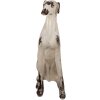 Clayre & Eef 5MG0048 Decoration Dog Beige Brown 37x24x79 cm