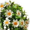 Clayre & Eef 6PL0324S Decorative artificial flower ball daisy Ø 17 cm