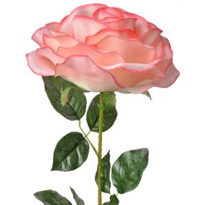 Clayre & Eef 5PL0138P Artificial Flower Rose Pink...