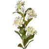 Clayre & Eef 6PL0344W Decorative Branch Flowers White Green 17x14x70 cm