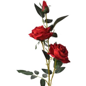 Clayre & Eef 6PL0358 Artificial Flower Rose 17x13x94 cm