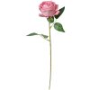 Clayre & Eef 6PL0359P Artificial flower rose 8x8x50 cm