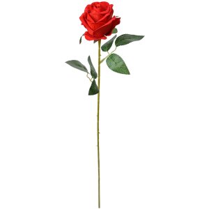 Clayre & Eef 6PL0359R Artificial flower rose 8x8x50 cm