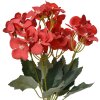 Clayre & Eef 6PL0364R Decoration Branch with Red Flowers 16x12x30 cm