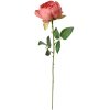 Clayre & Eef 6PL0366DP Artificial flower rose 8x8x62 cm