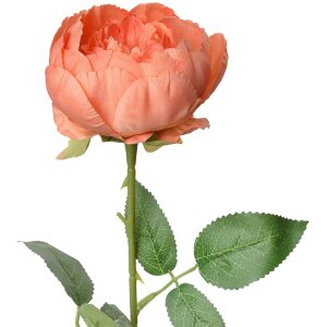 Clayre & Eef 6PL0366O Artificial Flower Rose Orange...