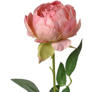 Clayre & Eef 6PL0366P Artificial flower rose 8x8x62 cm