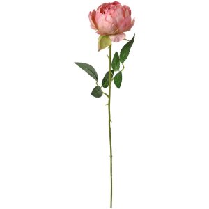 Clayre & Eef 6PL0366P Artificial flower rose 8x8x62 cm