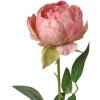 Clayre & Eef 6PL0366P Artificial flower rose 8x8x62 cm