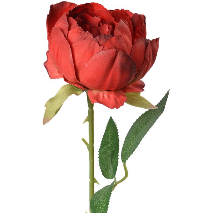 Clayre & Eef 6PL0366R Artificial Flower Rose Red 8x8x62 cm